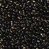 Spray Painted Glass Seed Beads SEED-F005-08A-03-3