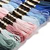 12 Skeins 12 Colors 6-Ply Polyester Embroidery Floss OCOR-M009-01B-17-2