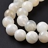 Natural White Moonstone Beads Strands G-F674-08-8mm-01-4