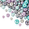 12 Strands 12 Styles Baking Painted Pearlized Glass Pearl Round Bead Strands HY-CW0001-03A-2