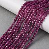 Natural Ruby Beads Strands G-F785-A02-02-1