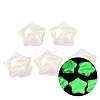 Luminous Transparent Resin Beads RESI-B039-17B-1