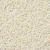 11/0 FGB Grade A Ceylon Glass Seed Beads X-SEED-N001-B-0482-2