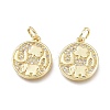 Brass Micro Pave Clear Cubic Zirconia Charms LS-ZIRC-L076-050G-1