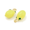 304 Stainless Steel Enamel Pendants STAS-D384-04D-G-2