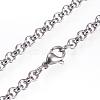 Non-Tarnish 304 Stainless Steel Necklaces NJEW-D281-22-2