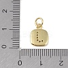 Rack Plating Brass Micro Pave CLear Cubic Zirconia Charms KK-E110-14G-J-3