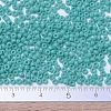 MIYUKI Round Rocailles Beads X-SEED-G007-RR0412-4