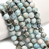 Natural Larimar Beads Strands G-L642-B19-8mm-1