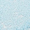 Baking Paint Glass Seed Beads X-SEED-S042-05B-64-3
