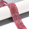 Natural Rhodonite Beads Strands X-G-G139-A16-03-2