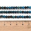 Natural Chrysocolla Beads Strands G-C289-B02-4mm-5