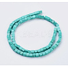 Natural Magnesite Beads Strands TURQ-K003-24-3