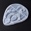 DIY Dragon Display Silicone Molds DIY-F129-01-5