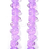 Transparent Glass Enamel Beads Strands GLAA-B021-05E-1