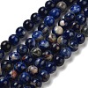 Natural South Africa Sodalite Beads Strands G-S259-35-12mm-01-4