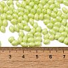 Baking Paint Glass Seed Beads SEED-C004-04K-4
