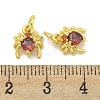 Rack Plating Brass Micro Pave Cubic Zirconia Spider Charms ZIRC-I065-02C-3