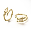 Oval Brass Cat Eye Cuff Rings for Women RJEW-U042-01G-01-4