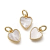 Brass & Natural Shell Heart Charms LS-KK-D431-025B-02G-1