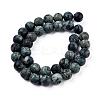 Frosted Natural Kambaba Jasper Beads Strands G-M272-14-6mm-4