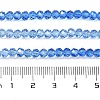 Transparent Painted Glass Beads Strands DGLA-A034-T3mm-A01-3