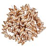 Natural Spiral Shell Beads Strands BSHE-SZ0001-03-1