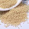 MIYUKI Delica Beads SEED-MY11-DB1131-1