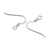 SHEGRACE Brass Earring Hooks XGR0139P-152P-2