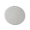 Tarnish Resistant 304 Stainless Steel Pendants STAS-F271-02F-P-2