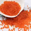 Transparent Colours Glass Seed Beads SEED-S042-11B-09-1