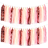 Aluminum Foil Tassels Hanging Garland Banner DIY-WH20011-29A-1