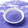 MIYUKI Round Rocailles Beads SEED-G009-RR0417L-3