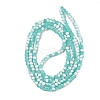 Frosted Crackle Glass Beads Strands GLAA-U001-4mm-M02-3
