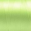 Nylon Sewing Thread NWIR-N006-01R-0.4mm-2