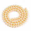 Baking Paint Pearlized Glass Pearl Bead Strands HY-N002-5mm-A09-3