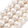 Natural Cultured Freshwater Pearl Beads Strands PEAR-C003-21B-2