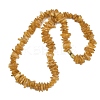 Natural Amber Chip Beaded Necklaces NJEW-L466-03C-4
