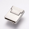304 Stainless Steel Magnetic Clasps STAS-E144-171P-2