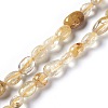 Natural Gold Rutilated Quartz Beads Strands LS-G-L493-15-1