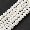 Natural Freshwater Shell Beads Strands BSHE-E026-17-1