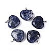 Natural Sodalite Pendants G-N349-05B-P-1