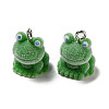 Flocky Resin Pendants X-RESI-D012-01B-1