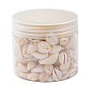 Natural Cowrie Shell Beads BSHE-CJ0002-01-7