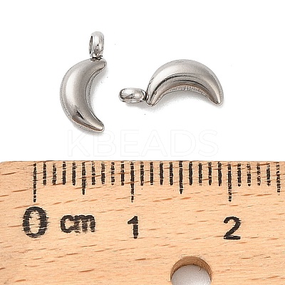 304 Stainless Steel Charms STAS-M017-14C-P-1-1