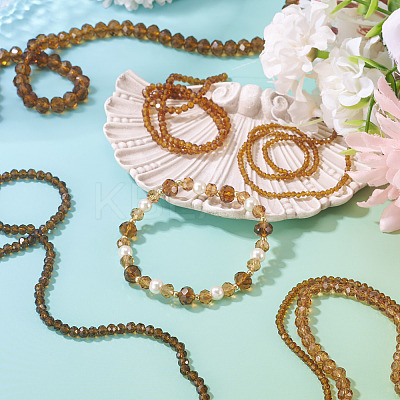 6 Strands 6 Styles Glass Beads Strands EGLA-TA0013-21D-1
