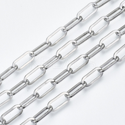 Tarnish Resistant 304 Stainless Steel Paperclip Chains CHS-S001-04A-P-1