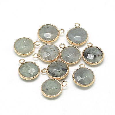 Natural Labradorite Pendants G-Q964-12G-1