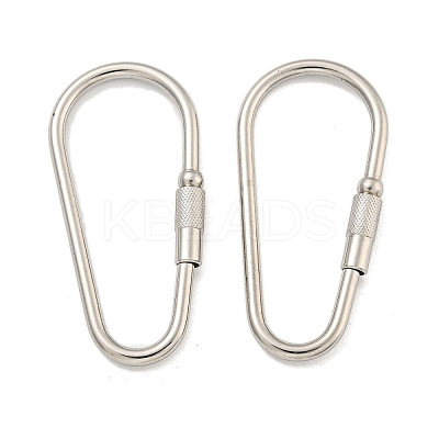 Non-Tarnish 304 Stainless Steel Screw Carabiner Lock Charms STAS-C092-06P-1