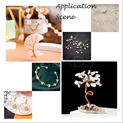 Round Copper Jewelry Craft Wire CW0.3mm006-1